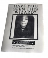 Cartel de "SE BUSCA" PERSONALIZADO CON LA FOTO QUE TU QUIERAS